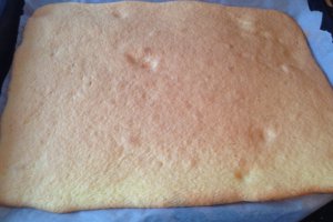 Buche de Noel (tort ptr Craciun)
