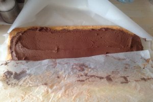 Buche de Noel (tort ptr Craciun)