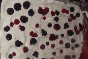 Tiramisu cu biscuti cu miere si fructe de padure