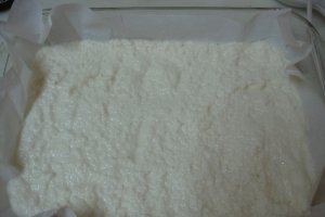Prajitura cu nuca de cocos si crema de vanilie