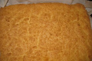 Prajitura cu nuca de cocos si crema de vanilie