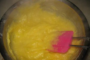 Prajitura cu nuca de cocos si crema de vanilie