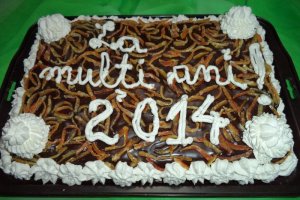 Tort pentru 2014