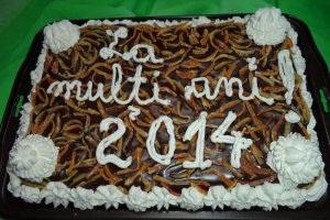 Tort pentru 2014