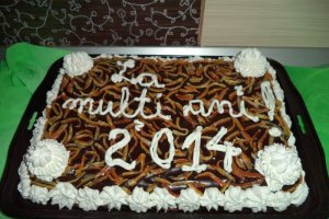 Tort pentru 2014