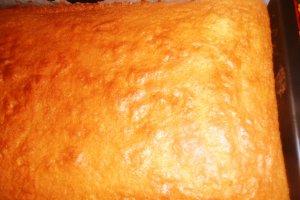 Prajitura Egalitate cu crema de cocos