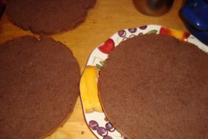 Tort Johnny