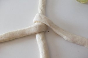 Paine impletita elvetiana