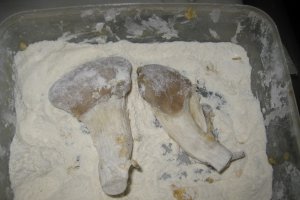 Ciuperci Pleurotus pane