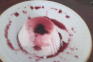 Panna - cotta