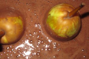 Chec cu cacao si pere