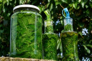 Extract de menta