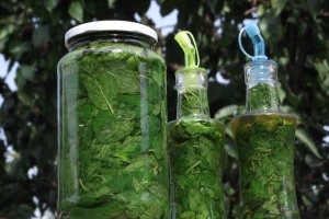 Lichior de menta