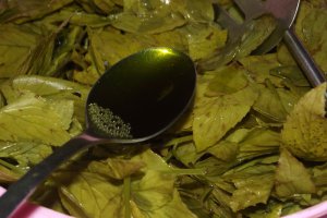 Lichior de menta
