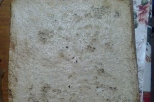 Prajitura cu crema de cafea