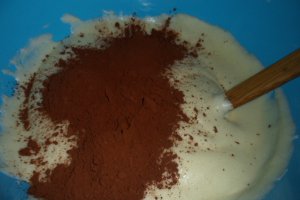 Desert prajitura Cocosana
