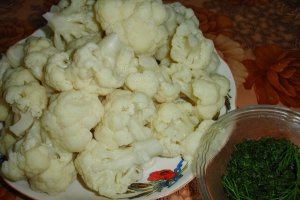 Salata de connopida