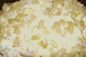 Melci cu branzica la cuptor