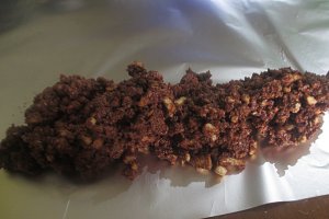 Salam de biscuiti reteta cu alune de padure ( fara foc)