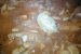 Mâncare de ceapă cu pui în sos de vin-2