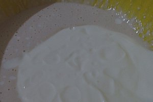 Paine de casa cu iaurt