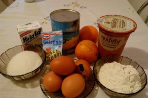 Tort diplomat cu iaurt