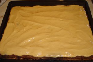 Diplomat din biscuiti cu spuma caramel