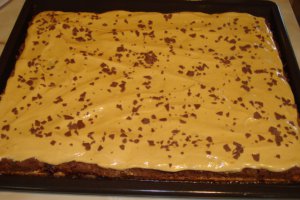Diplomat din biscuiti cu spuma caramel