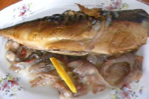 Macrou pe pat de ceapa