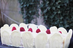 Bavareza de zmeura,vanilie si ciocolata alba