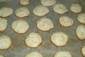 Biscuiti cu cocos