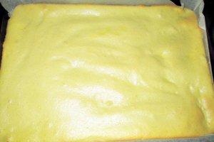 Rulada cu crema de portocale