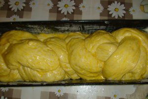 Paine impletita elvetiana