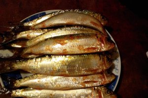 Sardine fripte pe grill cu cartofi natur și sos de usturoi