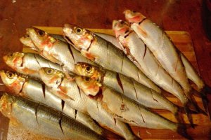 Sardine fripte pe grill cu cartofi natur și sos de usturoi