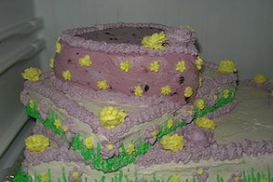 Tort Antonia