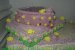 Tort Antonia-4