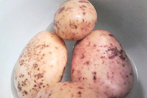 Salata orientala