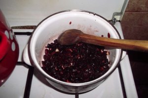 Rulada de pui umpluta cu caise si salvie si sos de merisoare