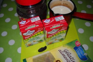 Panna cotta cu ciocolata