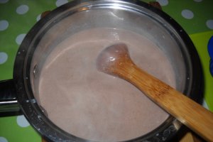 Panna cotta cu ciocolata