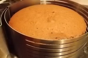 Tort cu visine