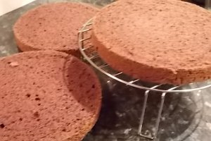Tort cu visine