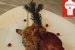 Ceafa de porc aromatizata, cu tagliatele de legume si piramida de bulgur cu orez negru-0