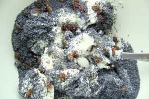 Cannelloni cu mac si sos de fructe de padure