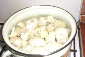 Conopida pane