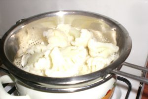 Conopida pane