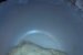 Cornuri fragede-2