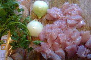 Burgeri de pui