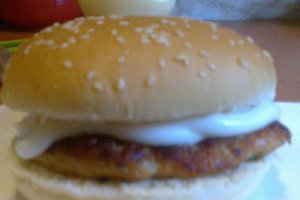 Burgeri de pui